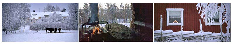 Tuomolan tila